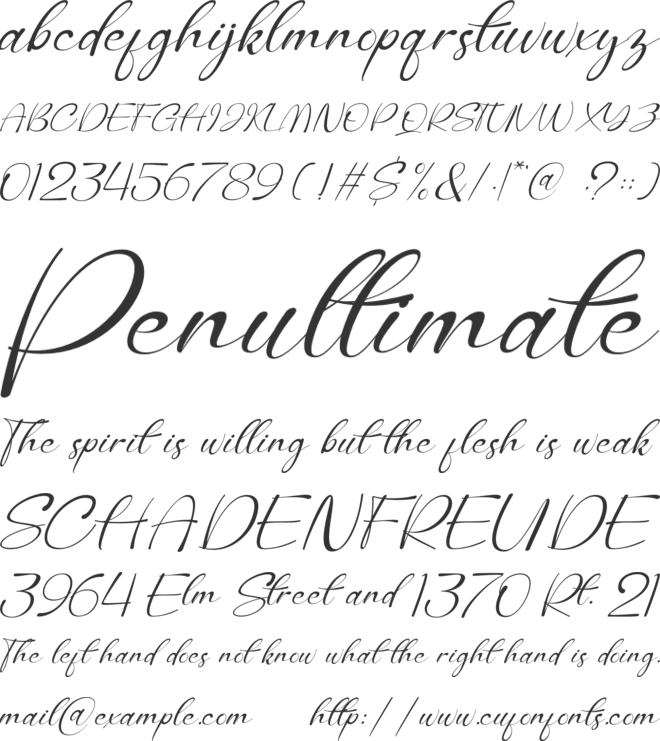 Selonika font preview