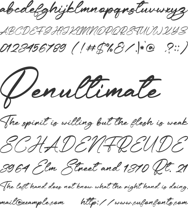 Leicesha font preview