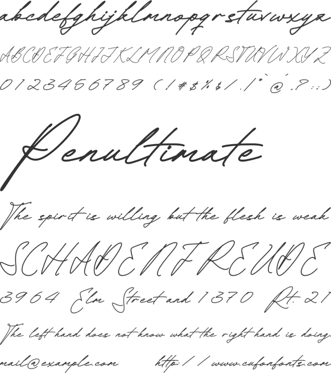 Rullian Vicotas font preview