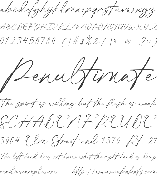 Pablo Duo font preview