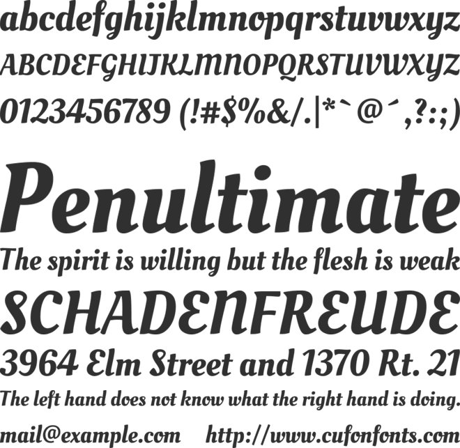 Oleo Script font preview