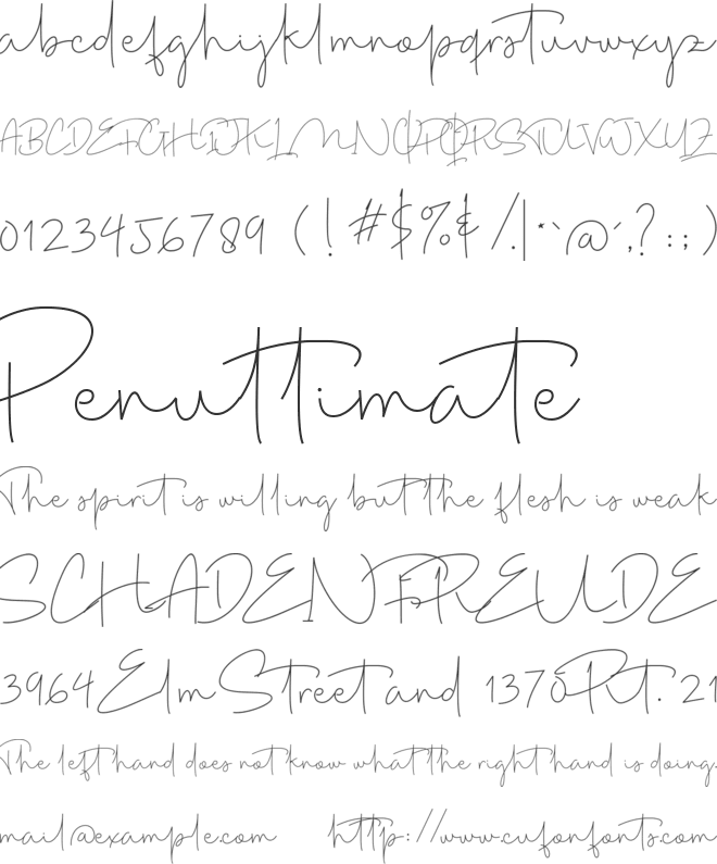 Polantas Signature font preview