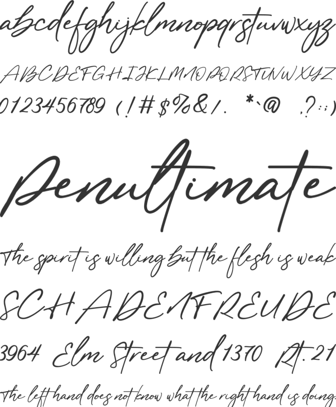 Florida Island font preview