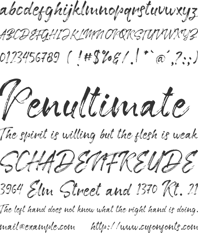 Anety Seytigah font preview