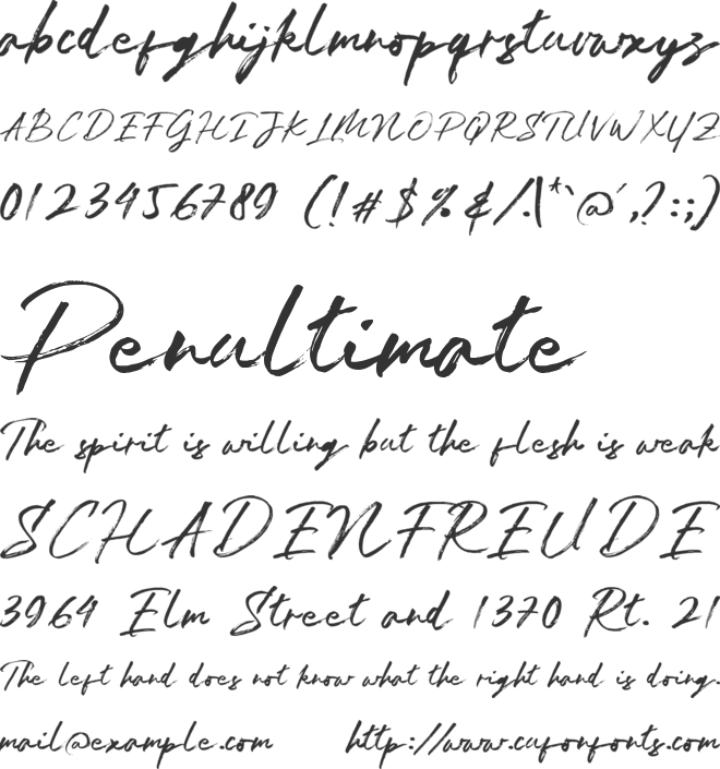 Jan Satipo Brush font preview