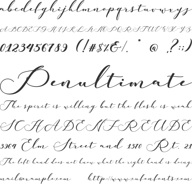 Sellinky font preview