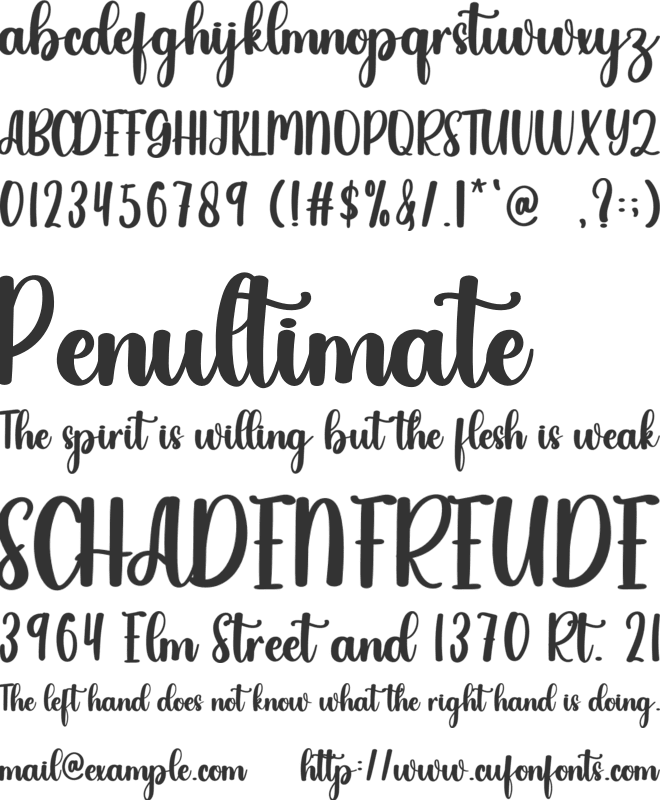 Tradition font preview