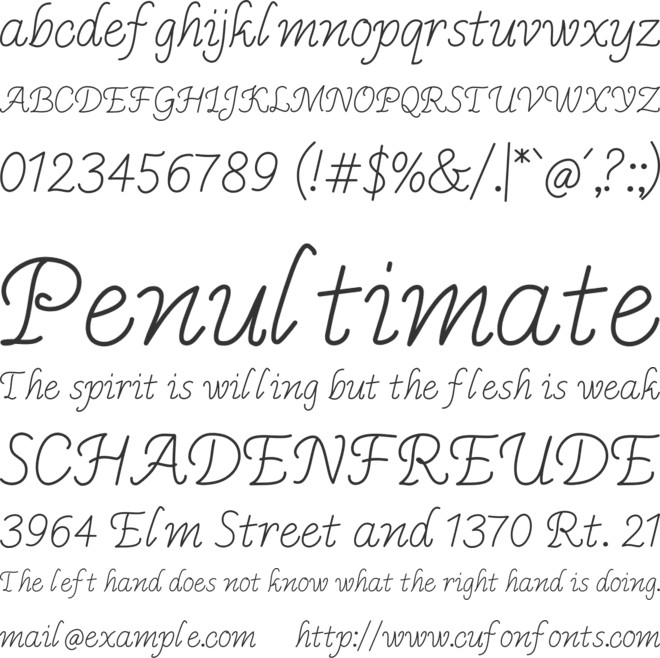 Mendem Njero font preview