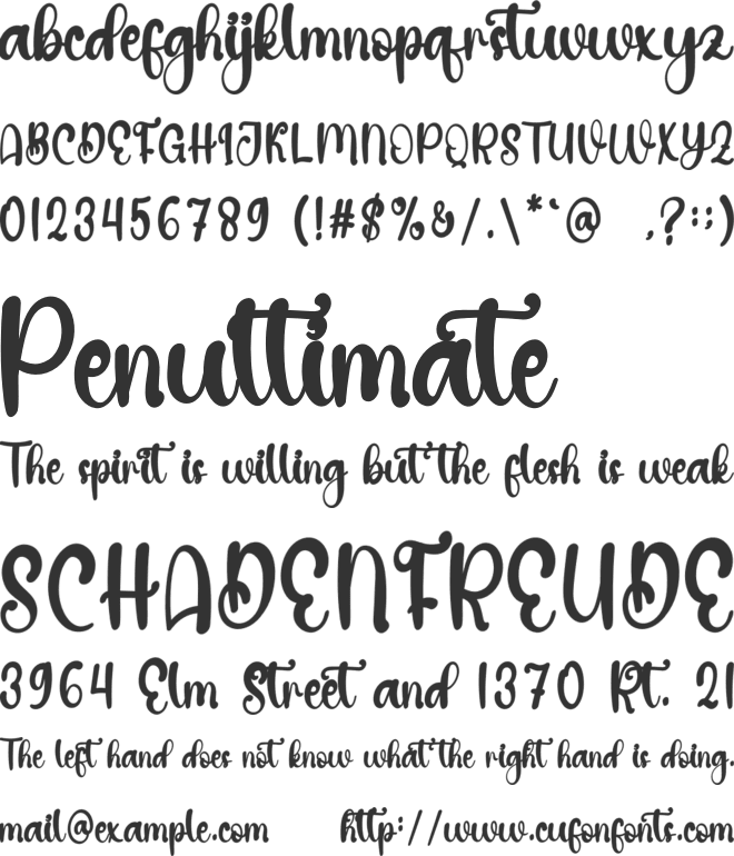 Amazing Signature font preview