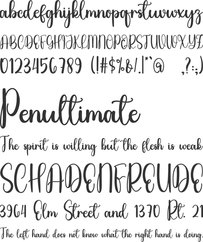 Find Joy font preview