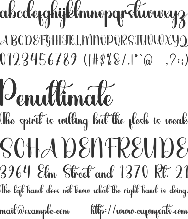 Dayton font preview
