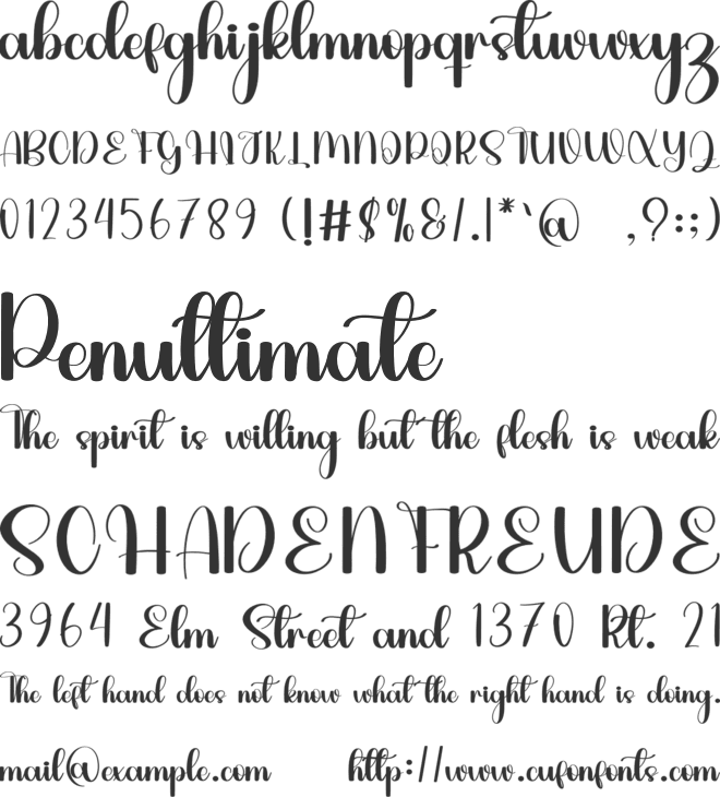 Sayidah font preview