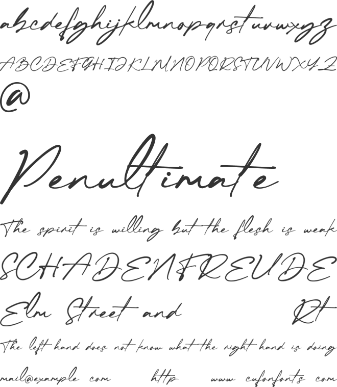 Checkbold font preview