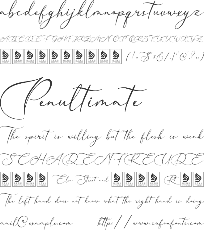 Nellysia Sorettein font preview