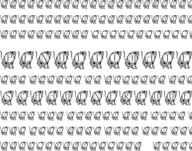 Happy Cat Mandala Monogram font preview