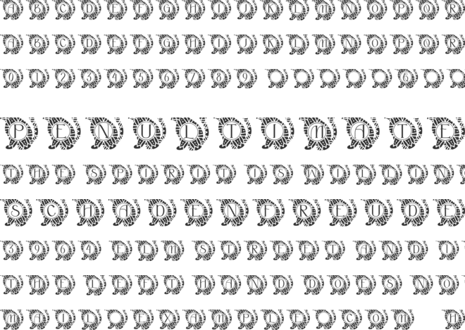 Casual Cat Mandala Monogram font preview