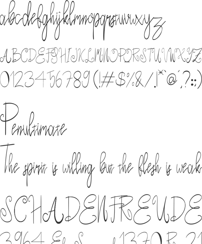 Stella Kooky font preview