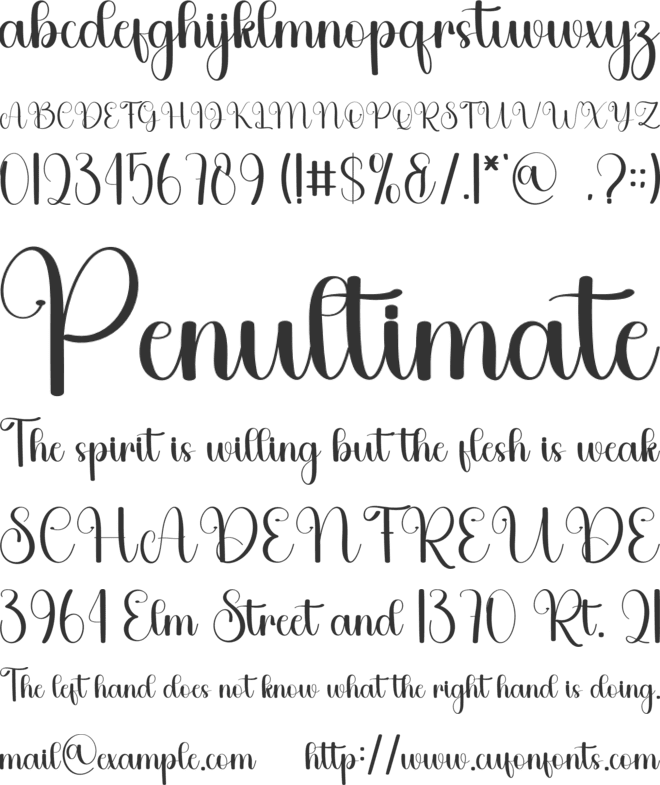 Baby Bear font preview