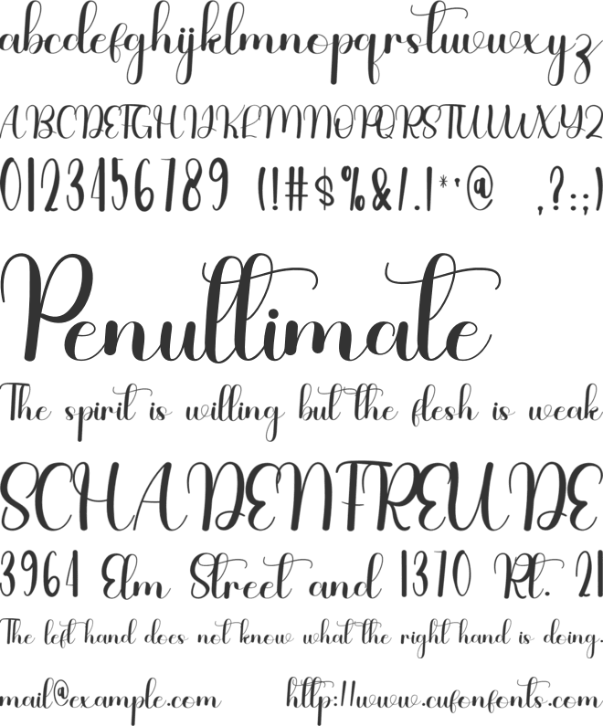 Bridgerton font preview