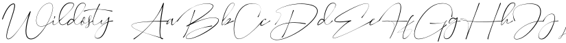 Wildosty font