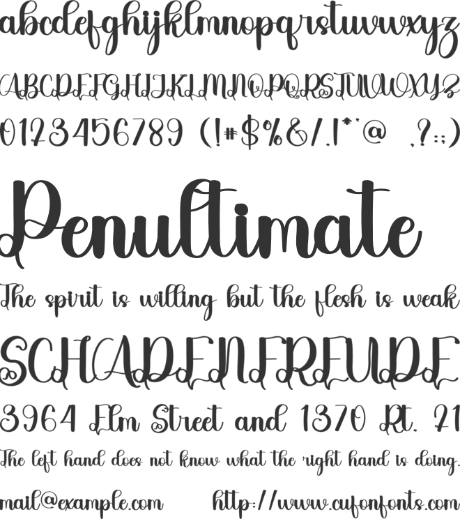 Vehicle font preview