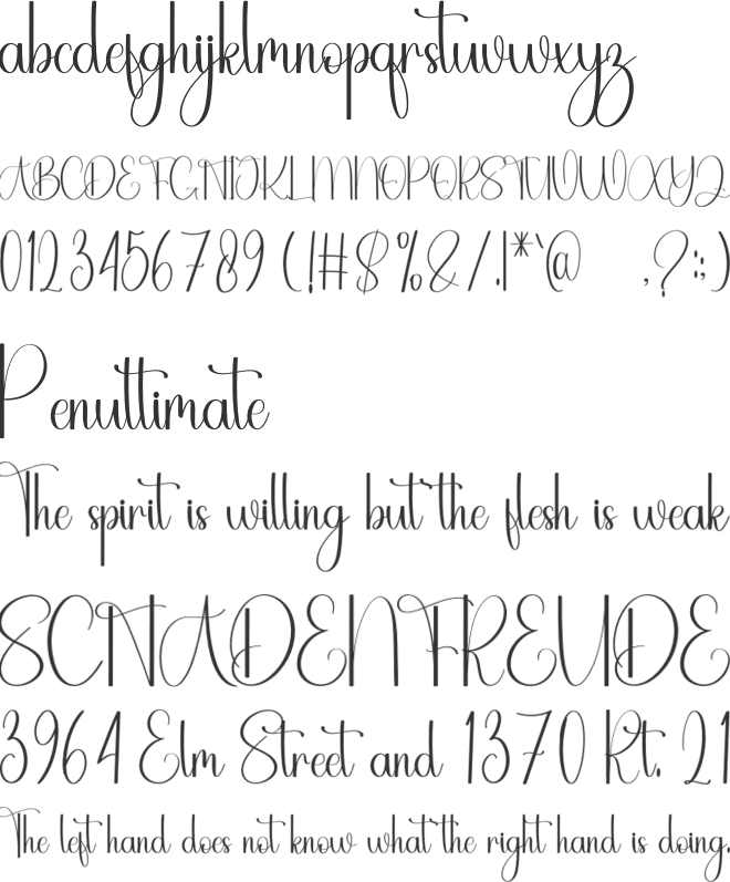 February Signature font preview