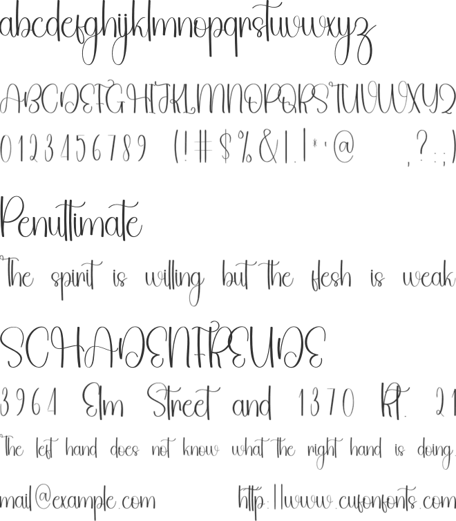 Stylish Handwriting font preview