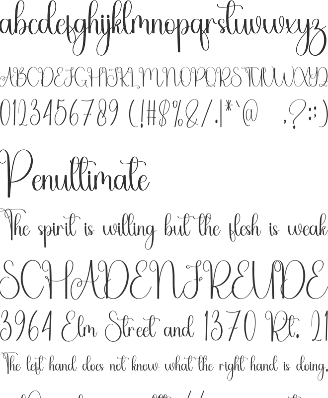 Angelina Calligraphy font preview