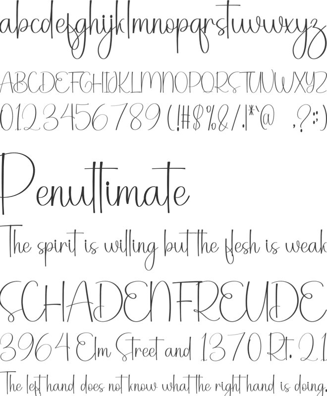 Holiday Adventure font preview