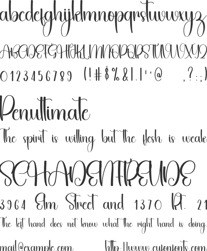 Miracle Winter font preview