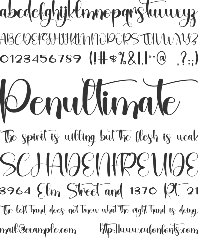 Vintage Motif font preview