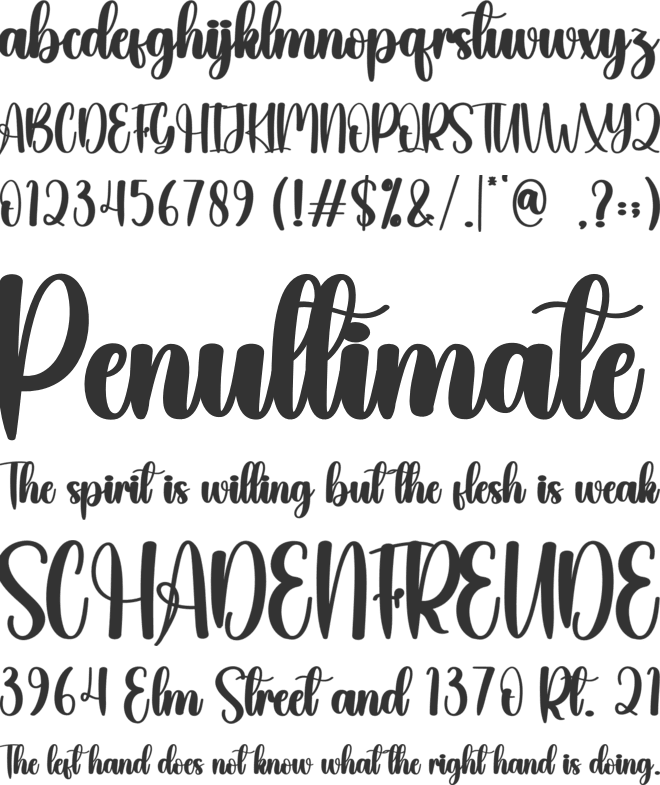 Mammy font preview