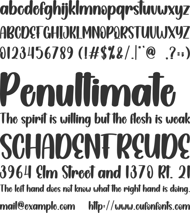 Christmas Decoration font preview