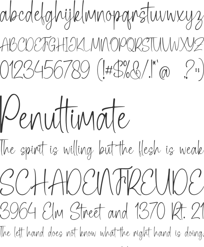 Aesthetic Maryland font preview