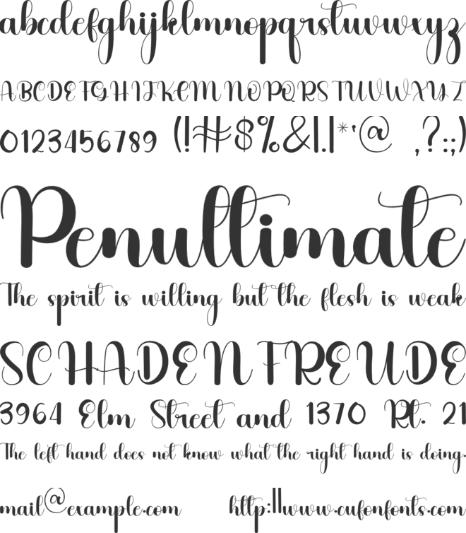 Birthday Flower font preview