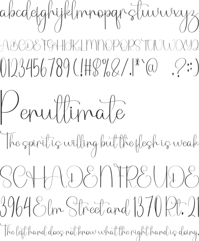Dubbing font preview