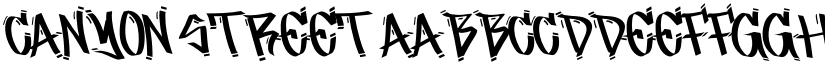 Canyon Street font
