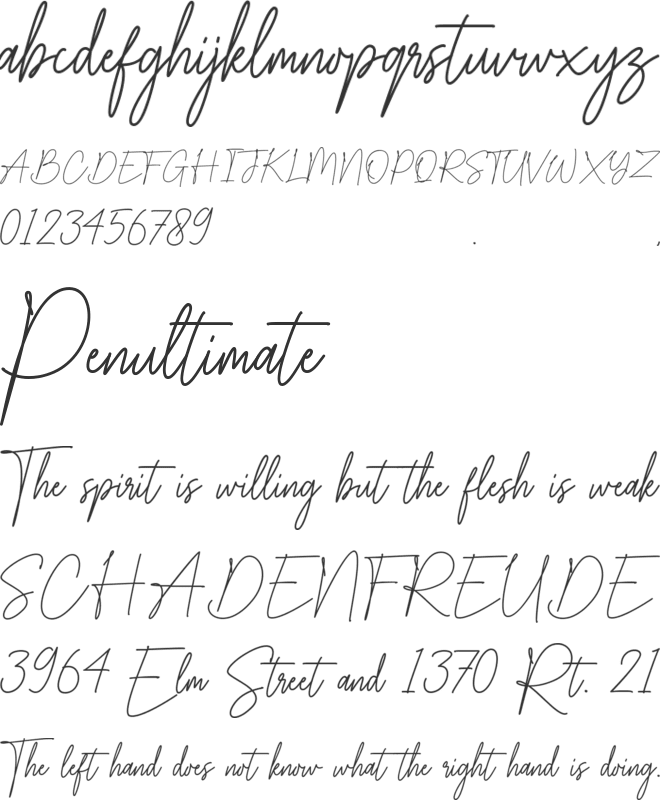 Besthiny Signature font preview
