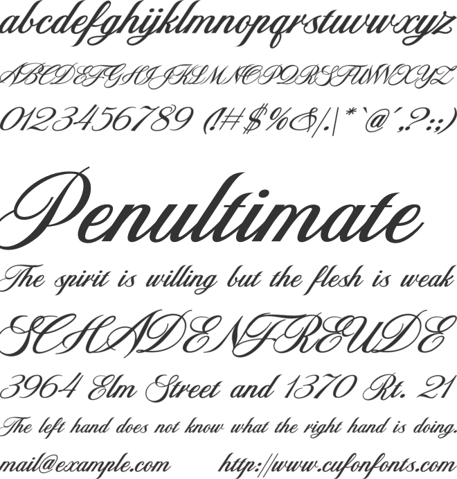 Polaroid Script font preview