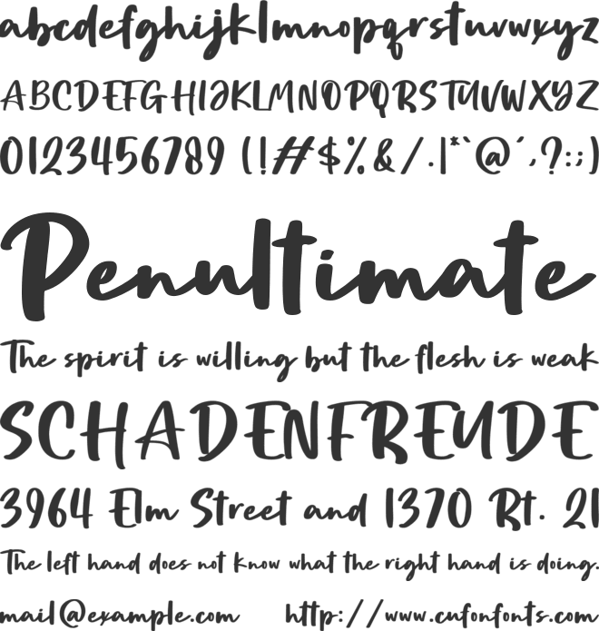 The Signage font preview