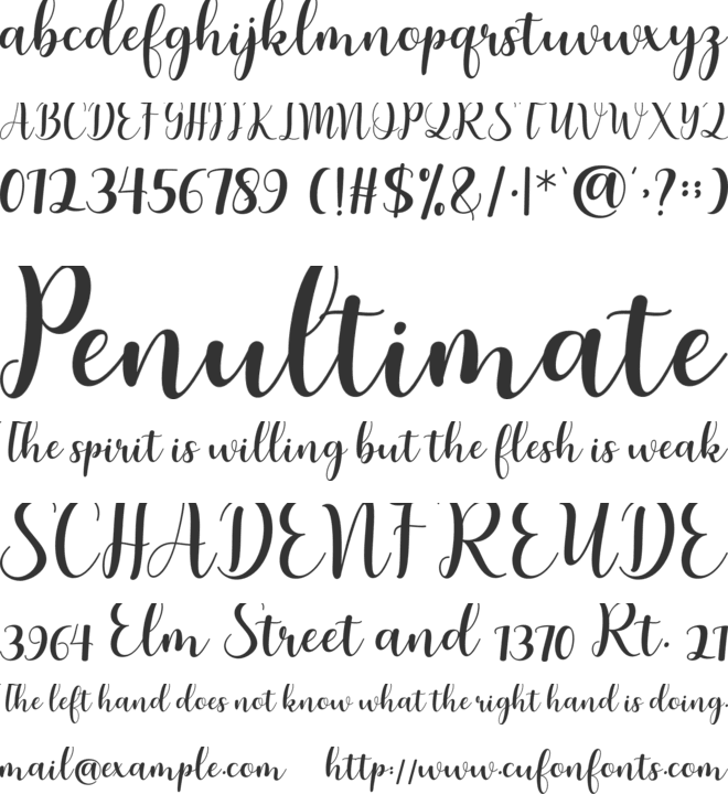 Bartleen Script font preview