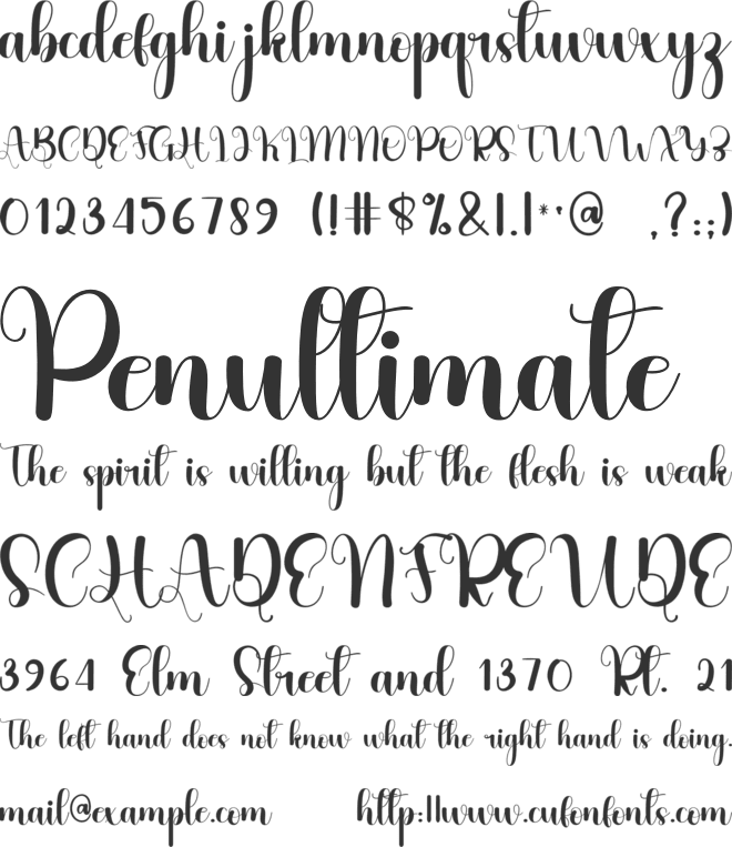 Anatomy font preview