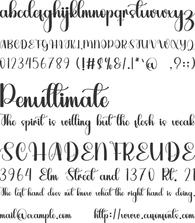 Teddyboy font preview