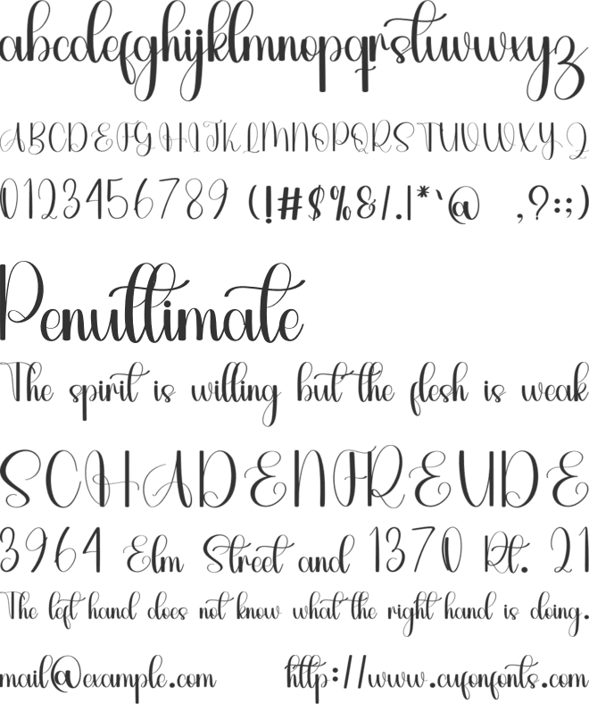 Dailymilk font preview