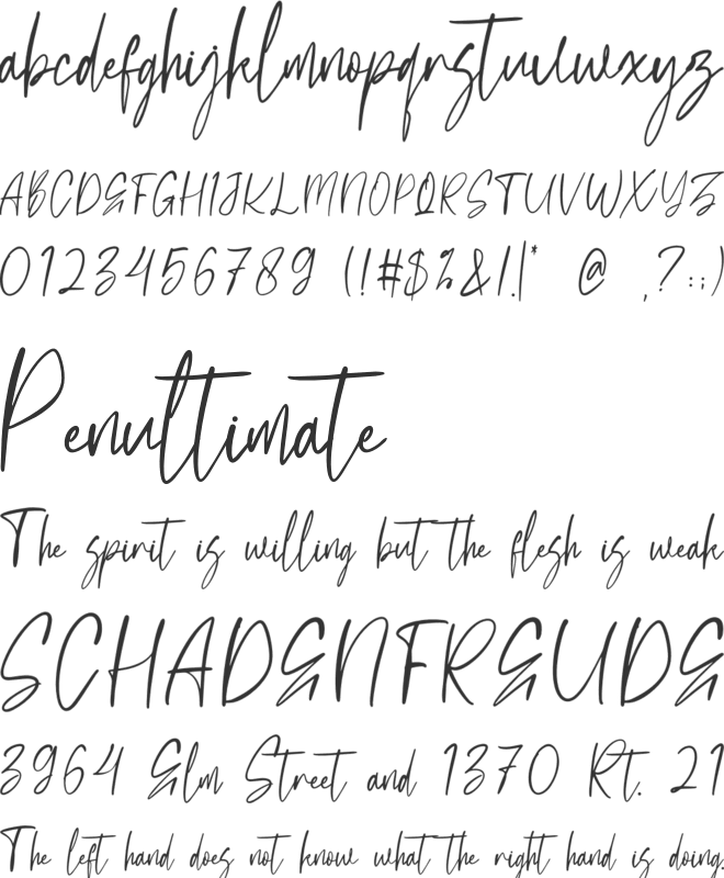 Burkellia font preview