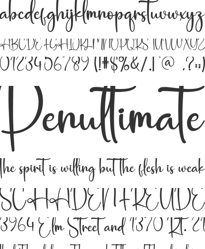 Pink Santa font preview