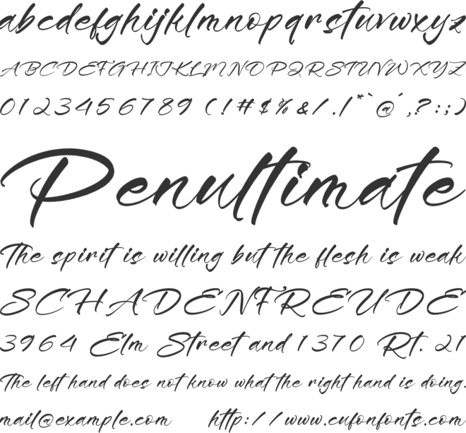 Minute Elegant font preview