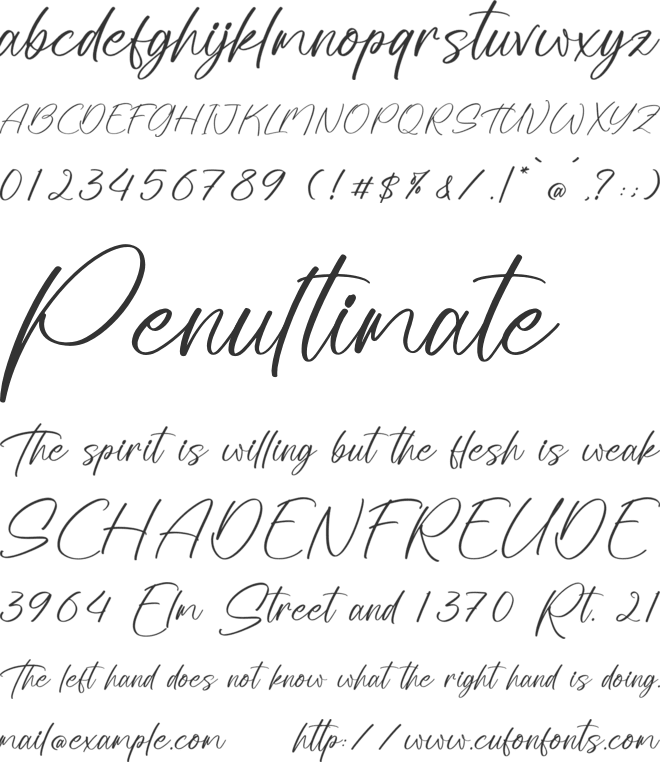 Tokyo Essence font preview