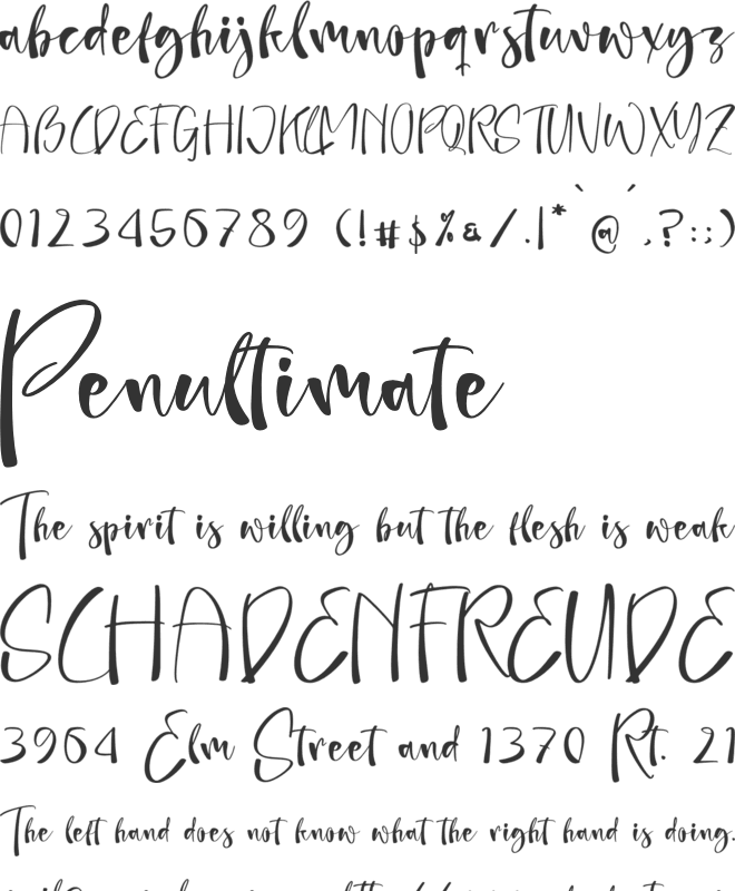 Palm Bliss font preview
