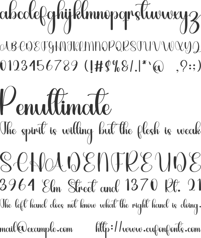 Dustine font preview